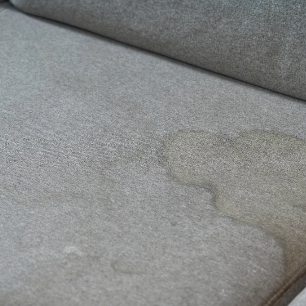 How to Clean Your Sofa