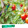 33FT Anti Bird Netting Pond Net Protection Tree Crops Plants Fruits Garden Mesh