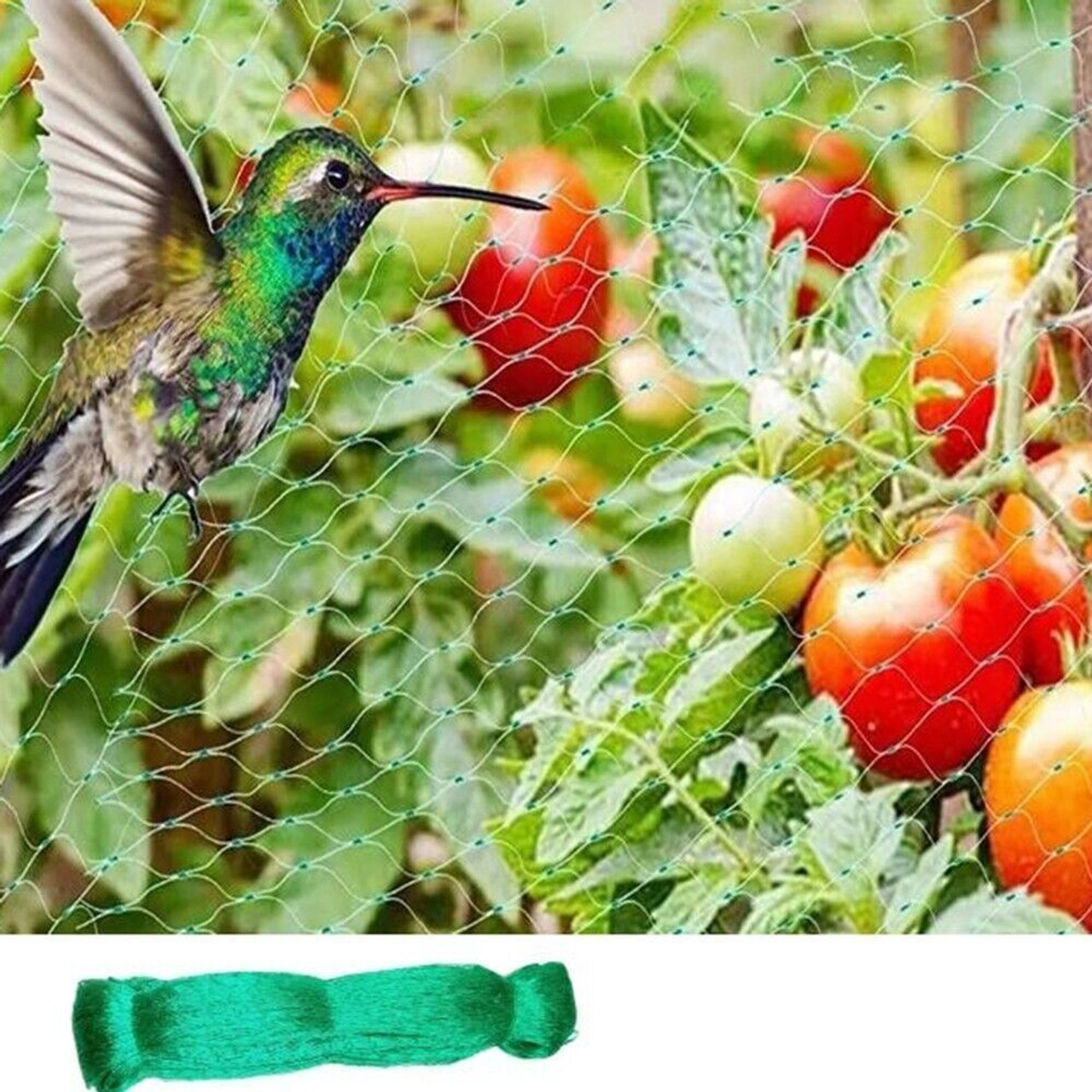 33FT Anti Bird Netting Pond Net Protection Tree Crops Plants Fruits Garden Mesh