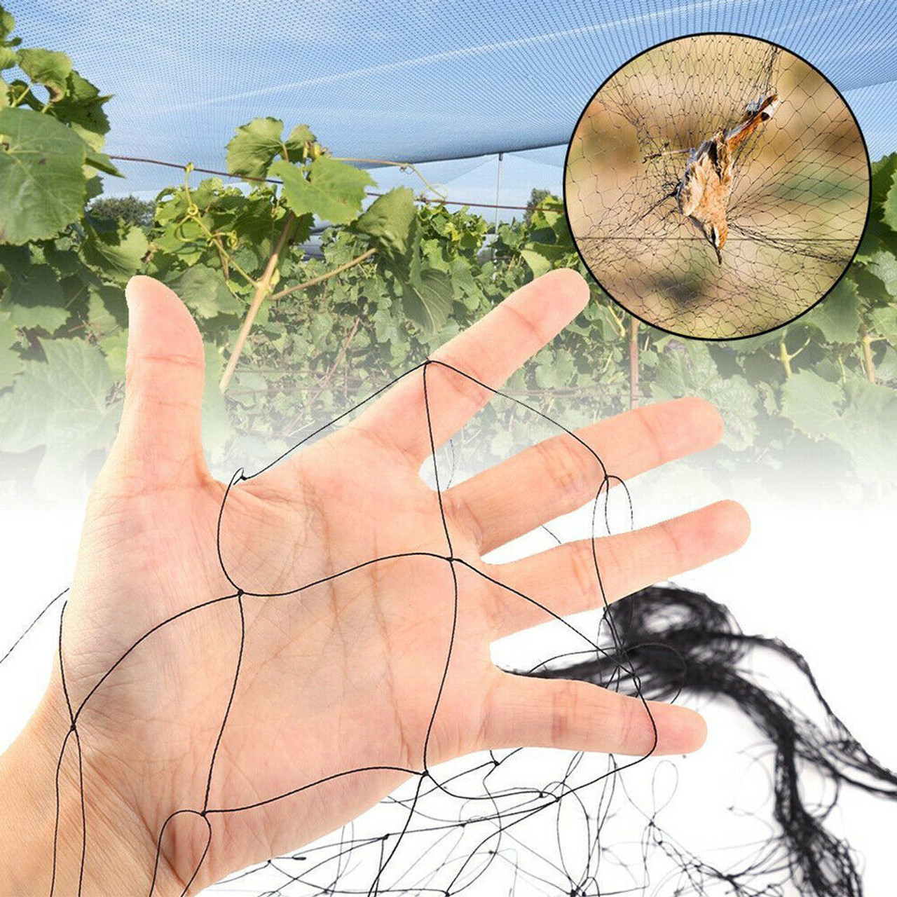 33FT Anti Bird Netting Pond Net Protection Tree Crops Plants Fruits Garden Mesh