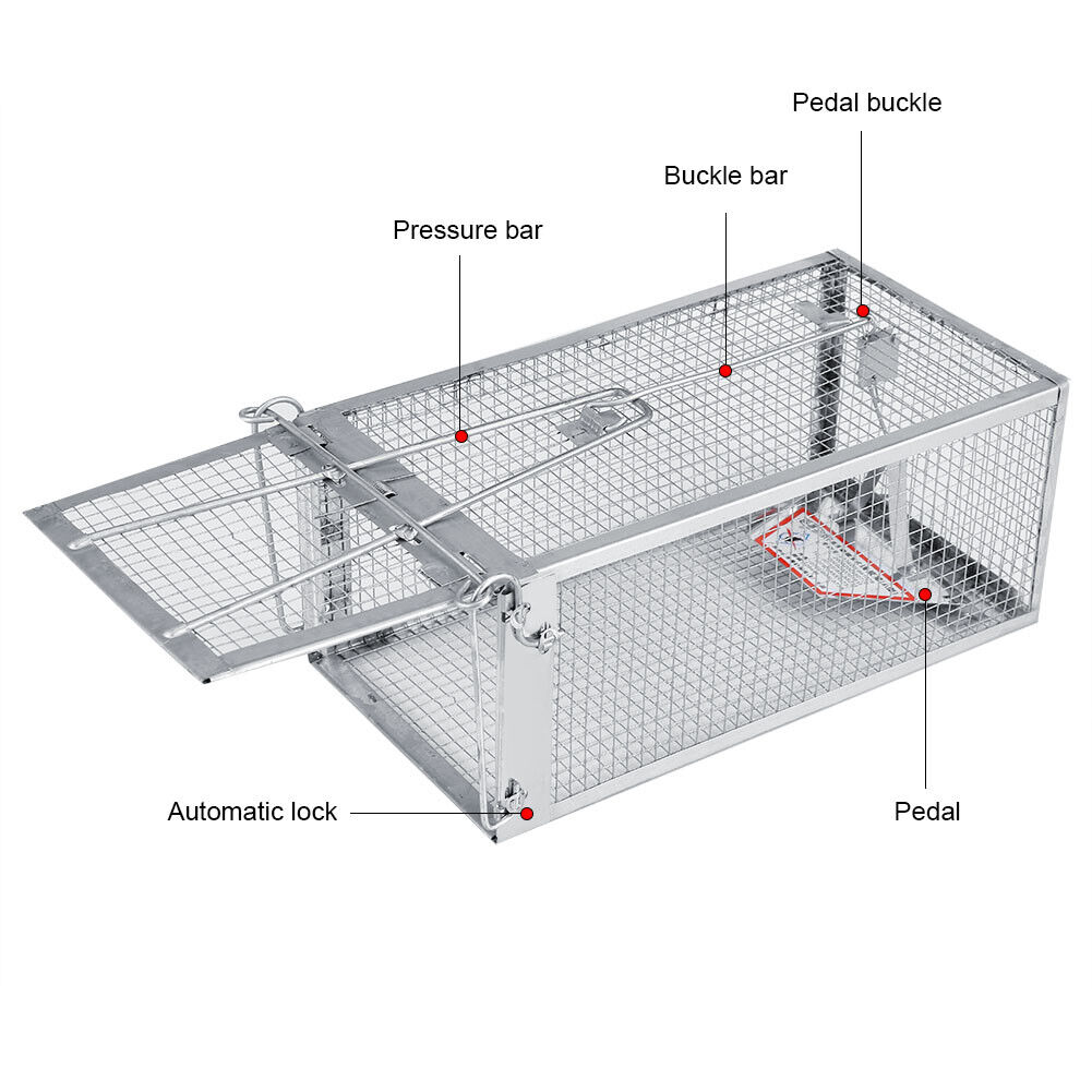 1/2/4 Pack Reusable Mouse Trap Rat Catcher Cage Mechanism Pedal