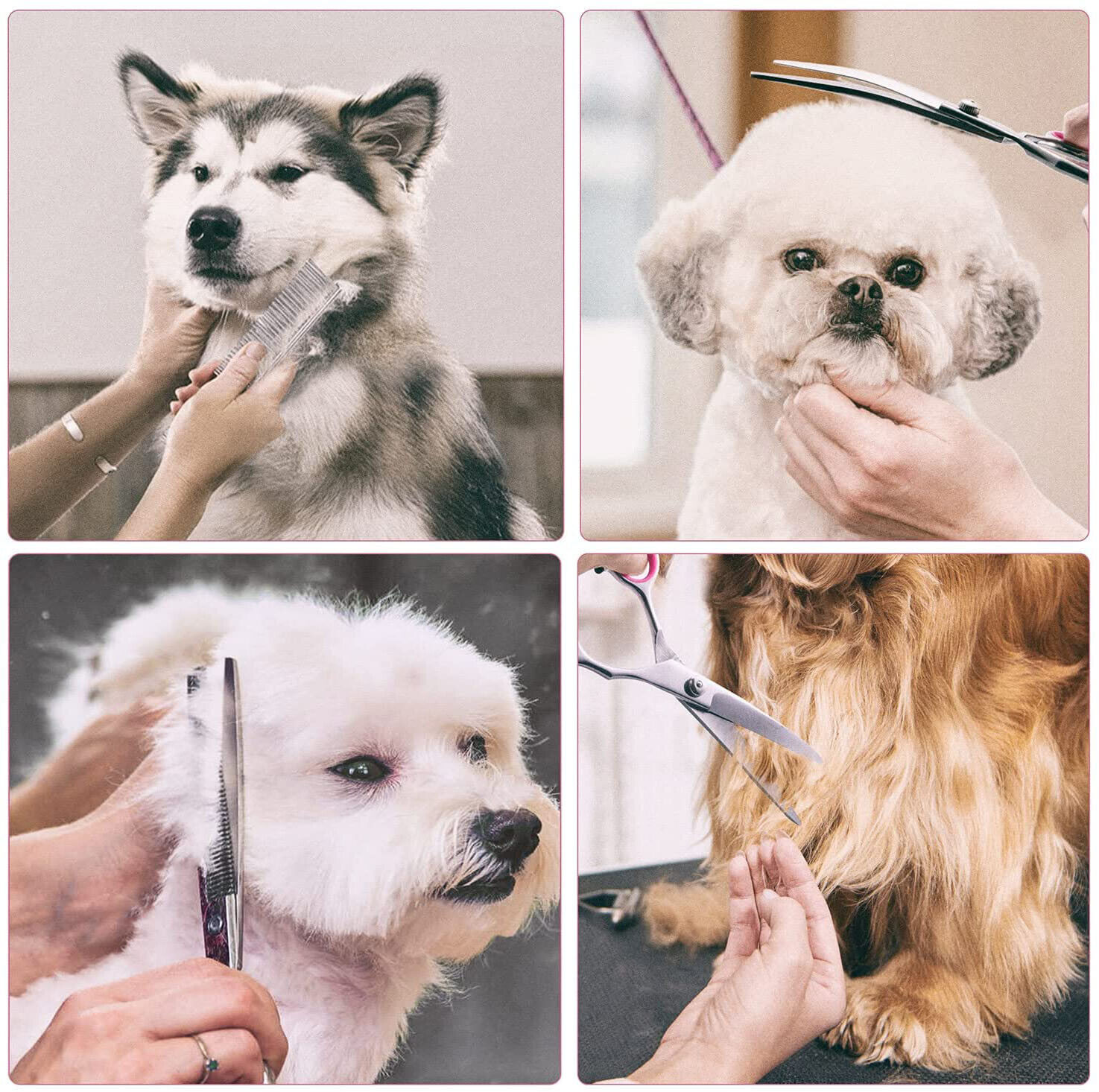 Dog Hair Cutting Scissors