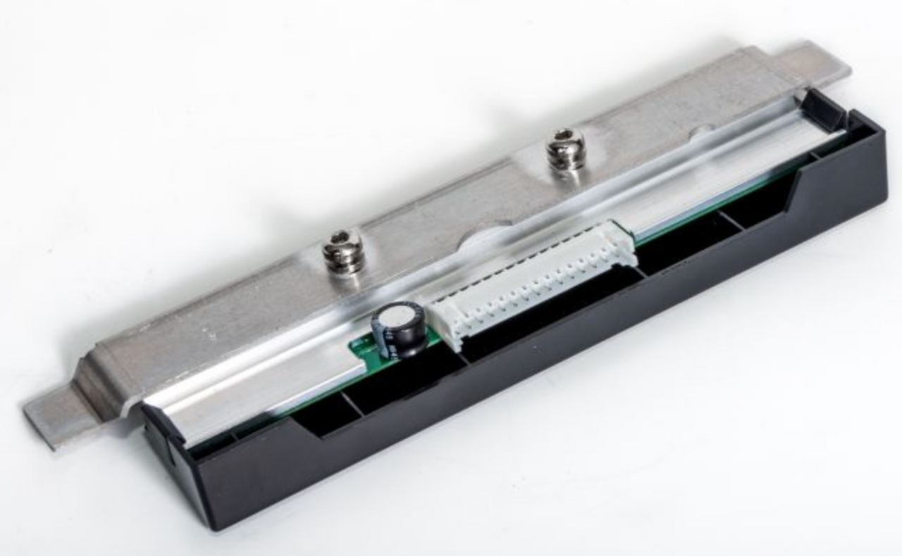 標本 Brazil Pelidnota cyanitarsis 20mm 標本 Brazil Pelidnota cyanitarsis 20mm 標本 Brazil Pelidnota