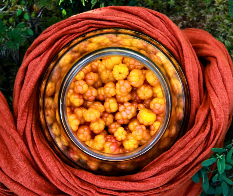 Herbal Chronicles: Cloudberry 