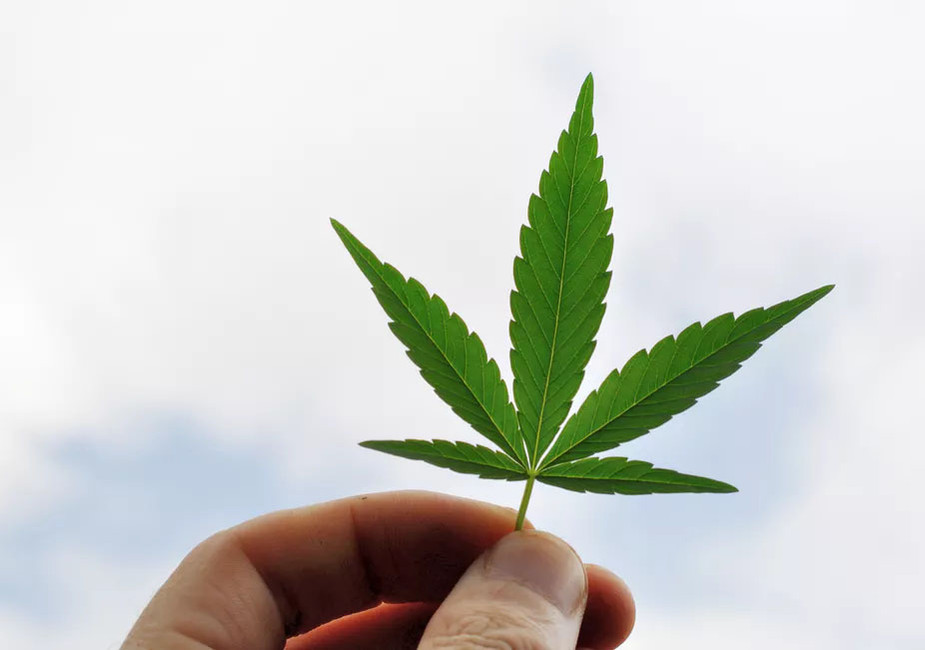 5 Fast Facts About Hemp