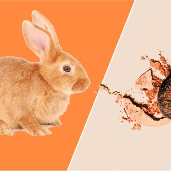 California Just Became the First State to Ban Beauty Products Tested on Animals