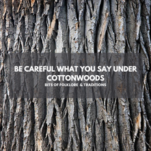 Be Careful What You Say Under Cottonwoods
