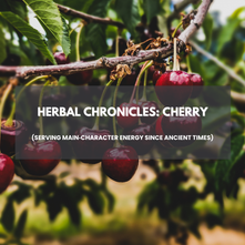 Herbal Chronicles: Cherry