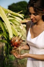 ​The Benefits Of Dragon Fruit For Skin