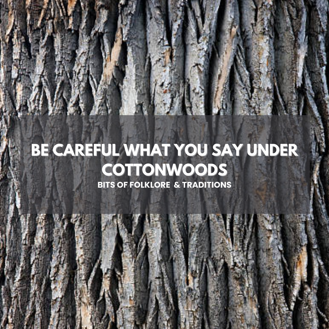 Be Careful What You Say Under Cottonwoods