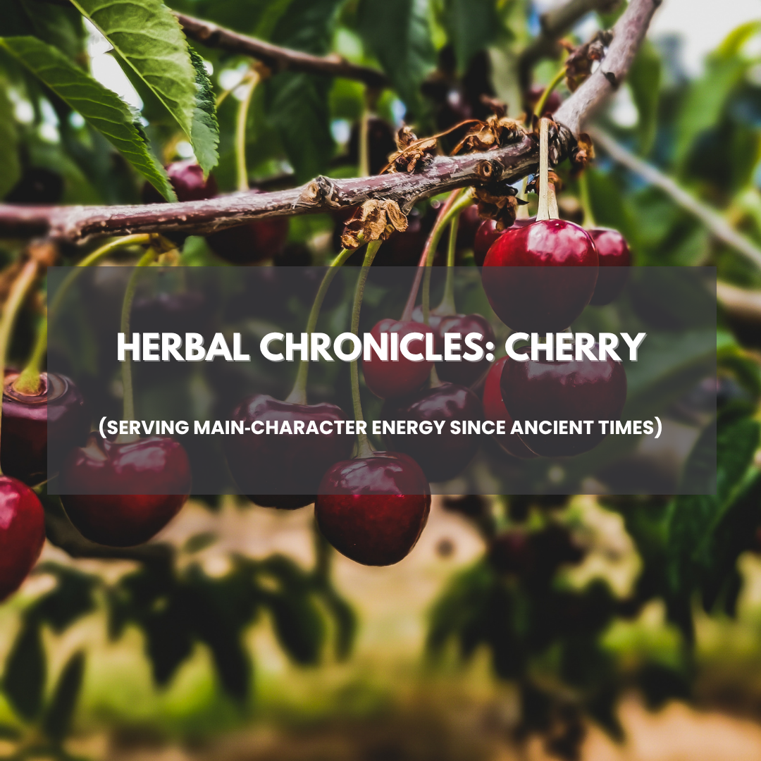 Herbal Chronicles: Cherry