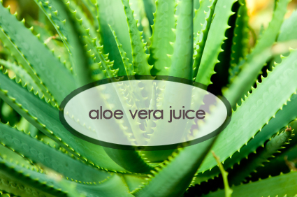 aloe-vera.jpg