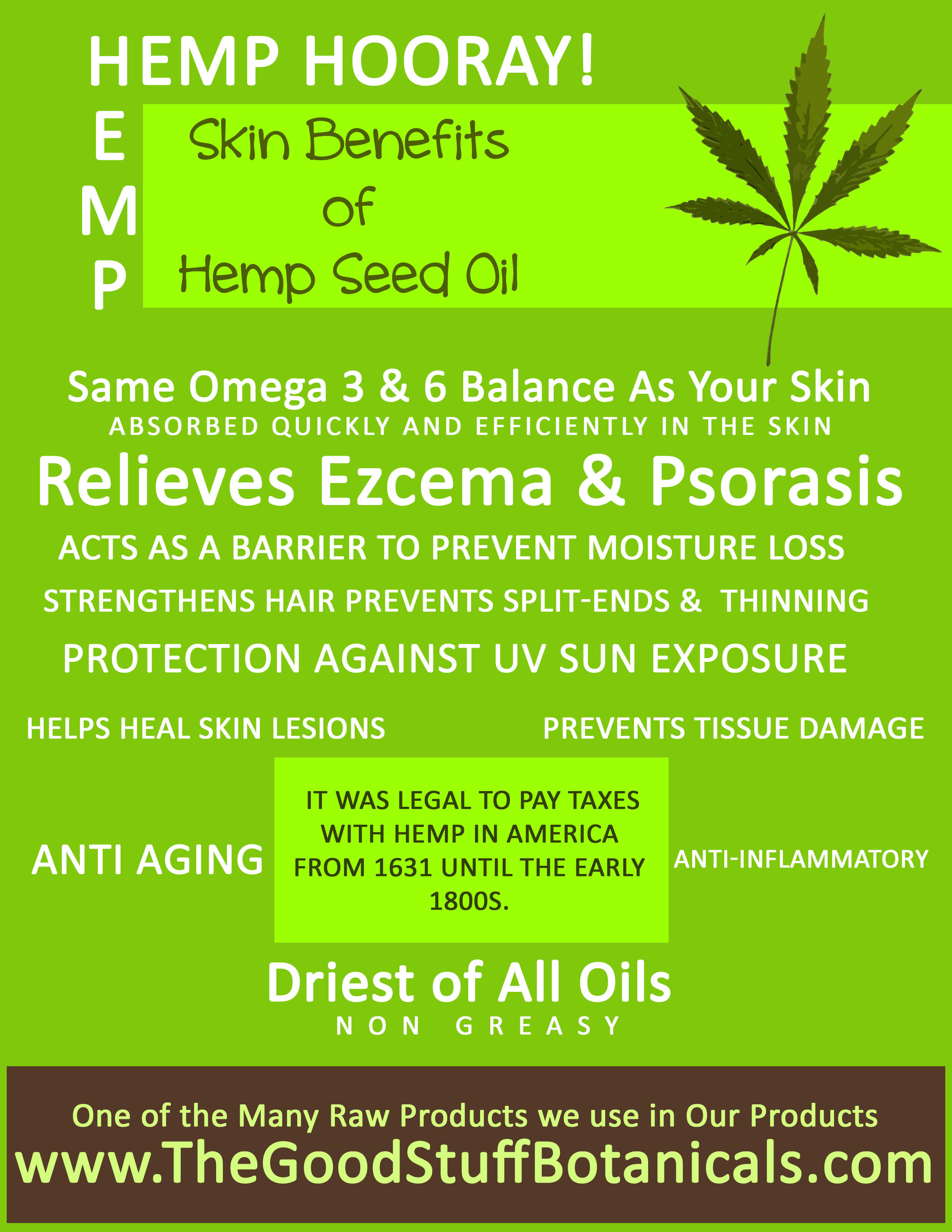 25 Amazing Uses And Benefits Of Hemp Seed Oil