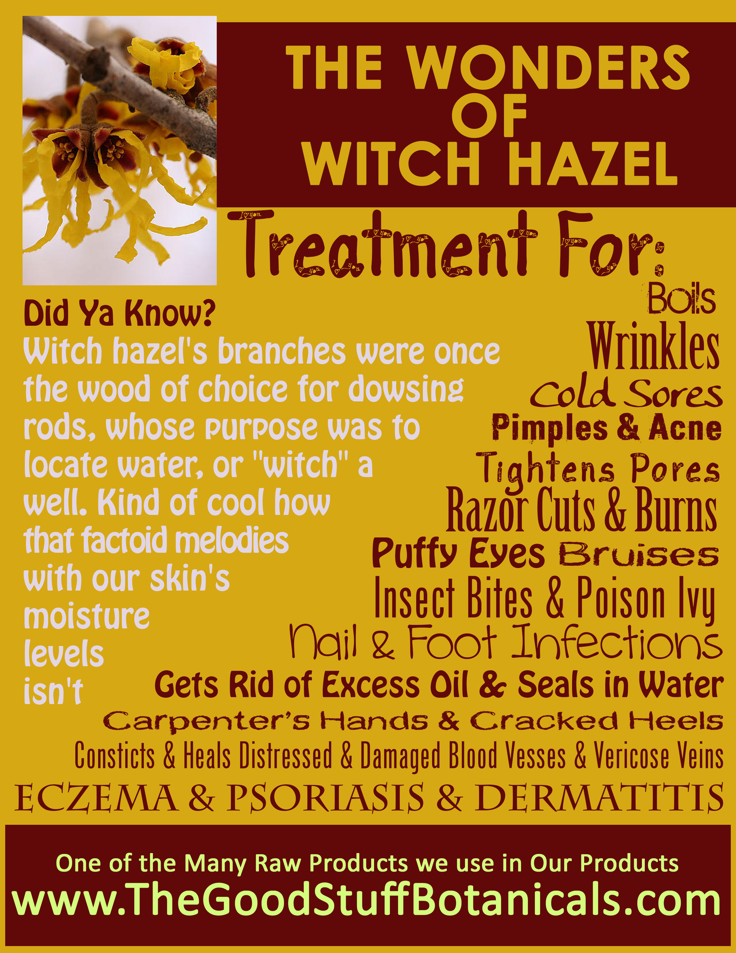 witch-hazel-benefits.jpg