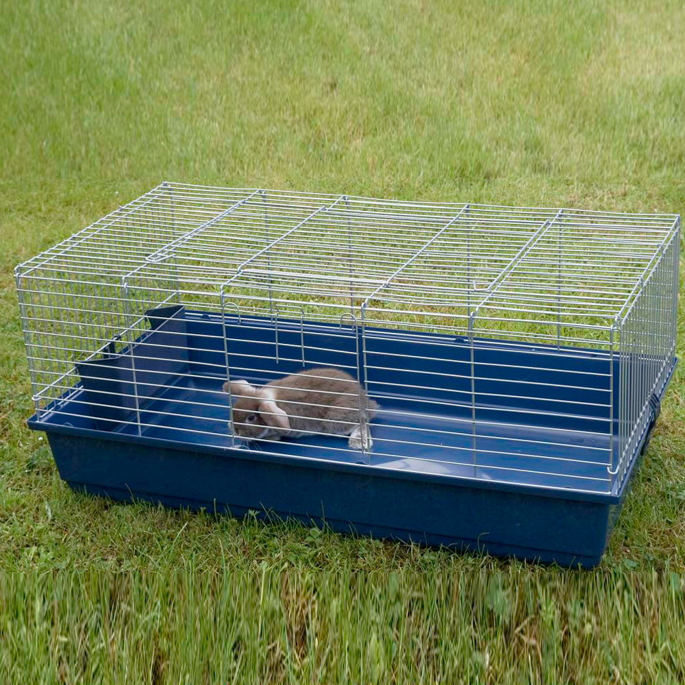 Indoor Plastic Base Rabbit Cage Petworlddirect
