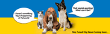 Petworld is Rebranding!