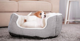 Choosing the Right Dog Bed 