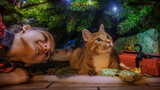 Stop Cat Playing with the Christmas Tree