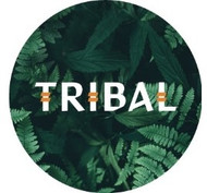 Tribal