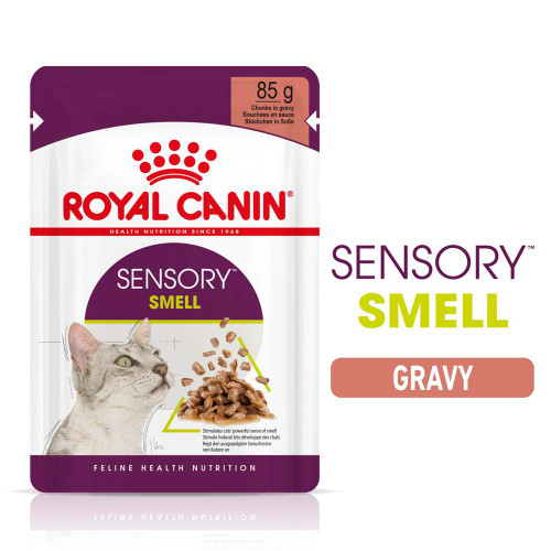 Royal Canin Sensory Smell Gravy Wet Adult Cat Food Pouch