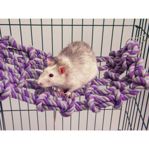 Rosewood Rat and Ferret Cargo Net Small Animal Toy