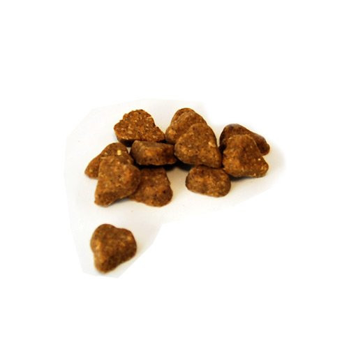 Company of Animals Coachies Puppy Training Treats