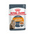Royal Canin Intense Beauty Care Jelly Wet Adult Cat Food Pouch