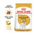 Royal Canin Jack Russell Terrier Dry Adult Dog Food