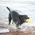 KONG AirDog Football