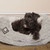 Bobble Pewter Deluxe Slumber Bed