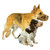 Company of Animals Baskerville Dog Muzzle