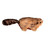KONG Refillables Catnip Beaver Cat Toy