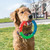 KONG Twistz High Viz Ring Small