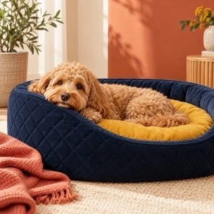 Dog Beds
