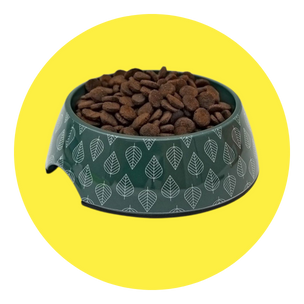 Melamine Dog Bowl Ireland