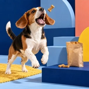 Dog Treats