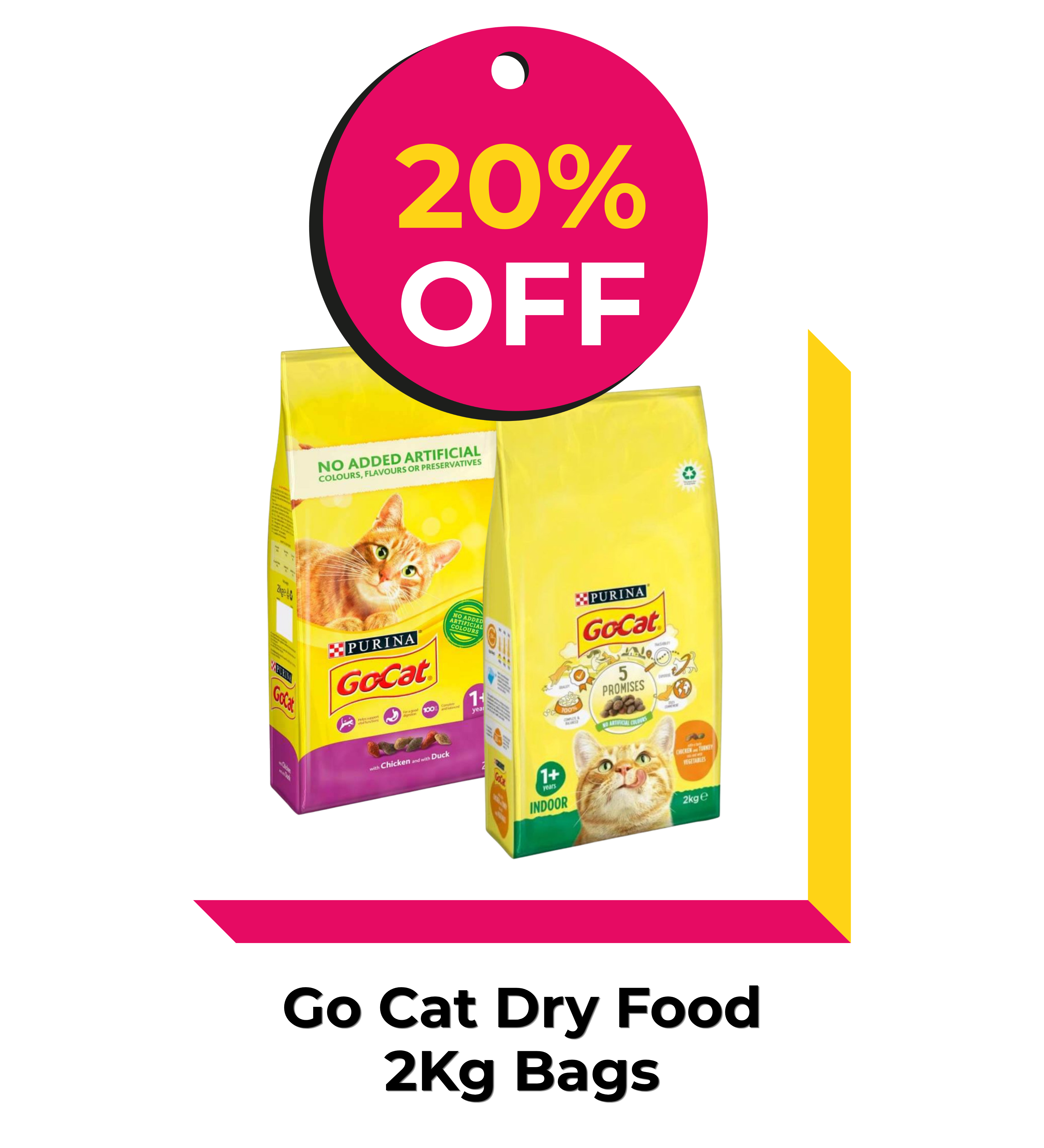 go cat sale in ireland
