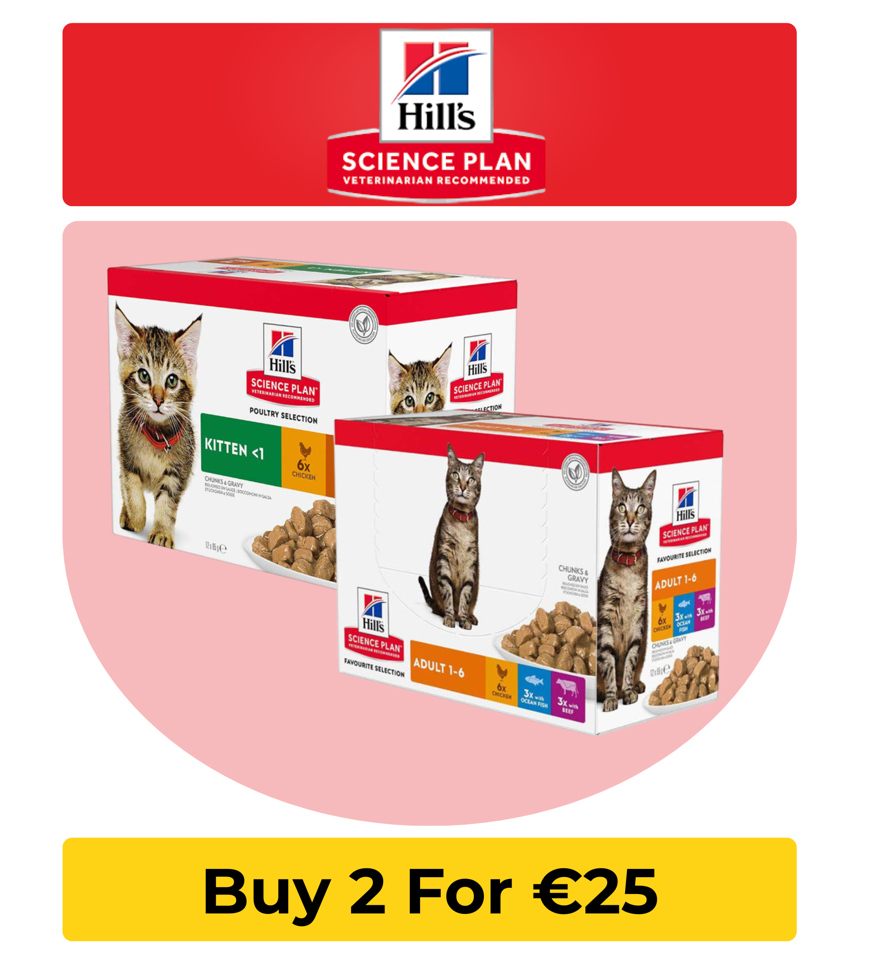 Hills Cat Food on Sale