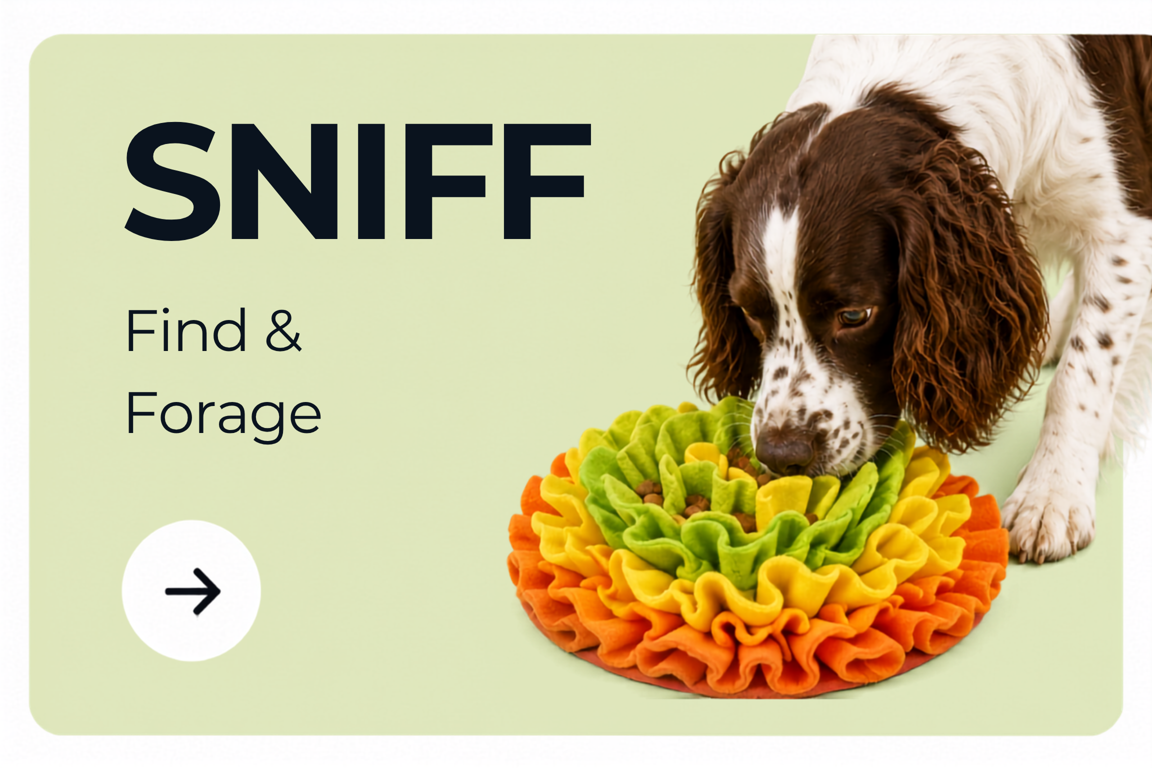Sniff
