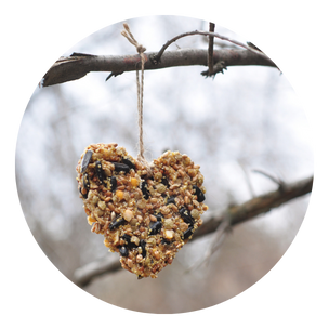 Wild Bird Food