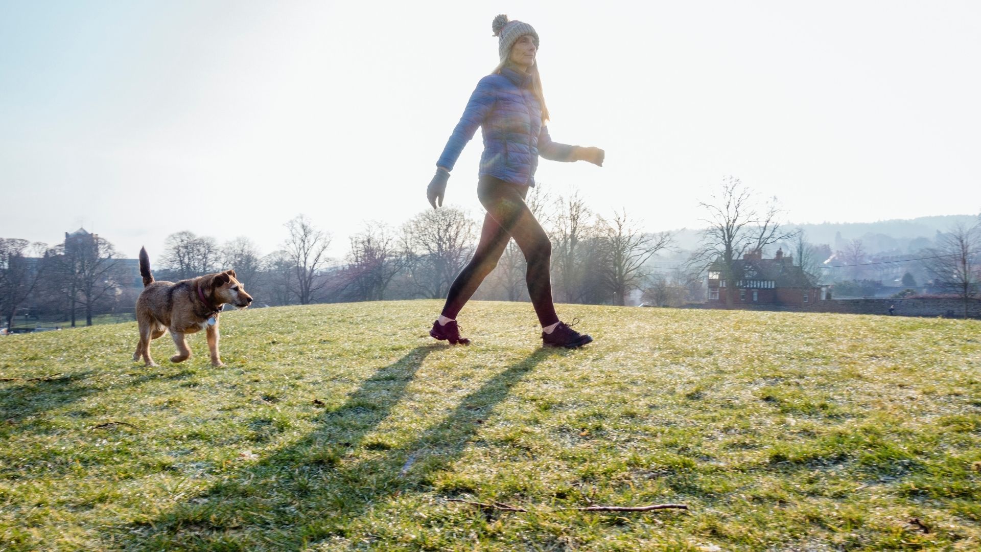 Guide To Exercising With Your Dog