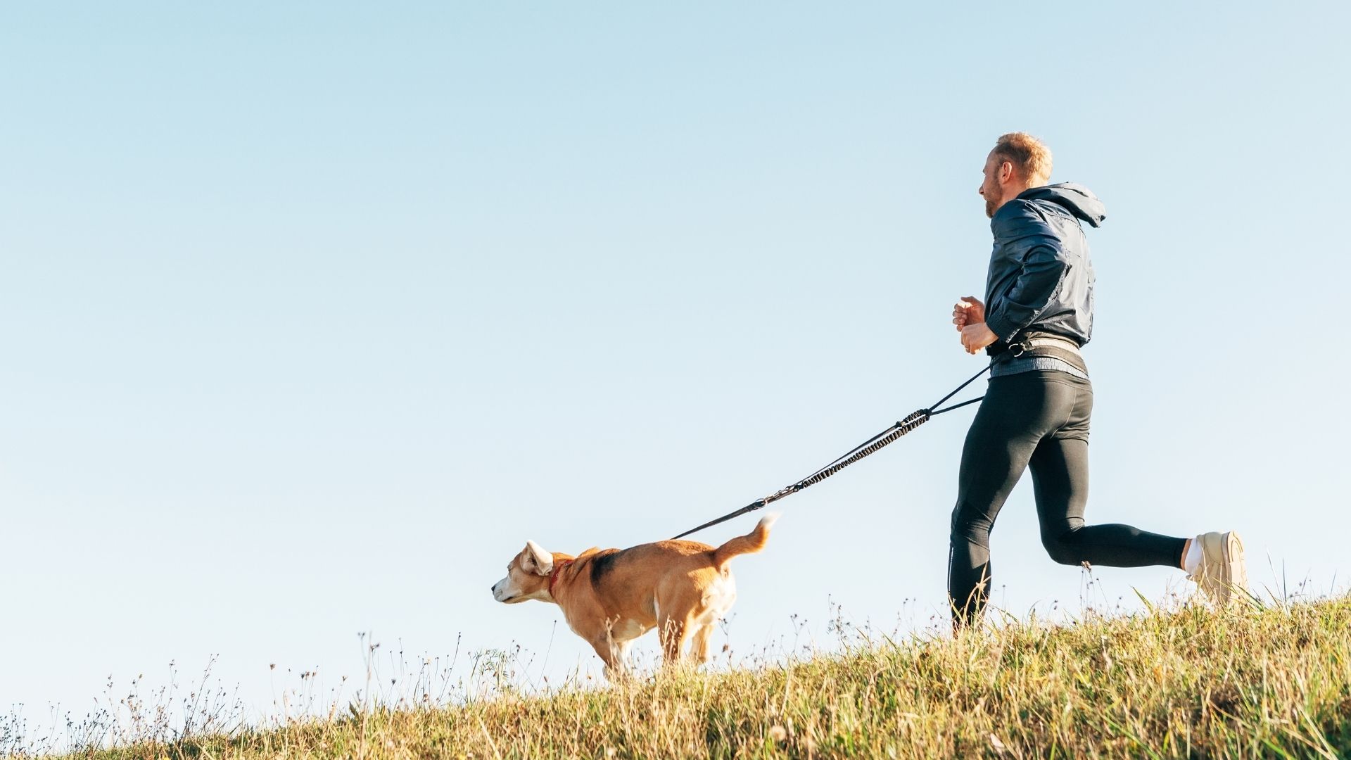 Love Exercising With Your Dog