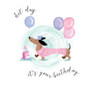 Sausage Dog Birthday Card by Pink Pig