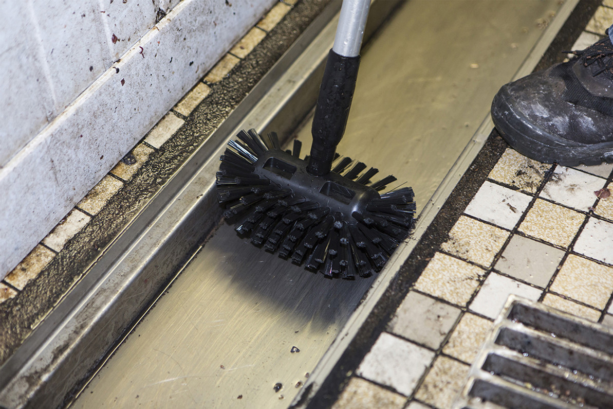 Commercial Drain Brush to clean facility floor drains and unclog