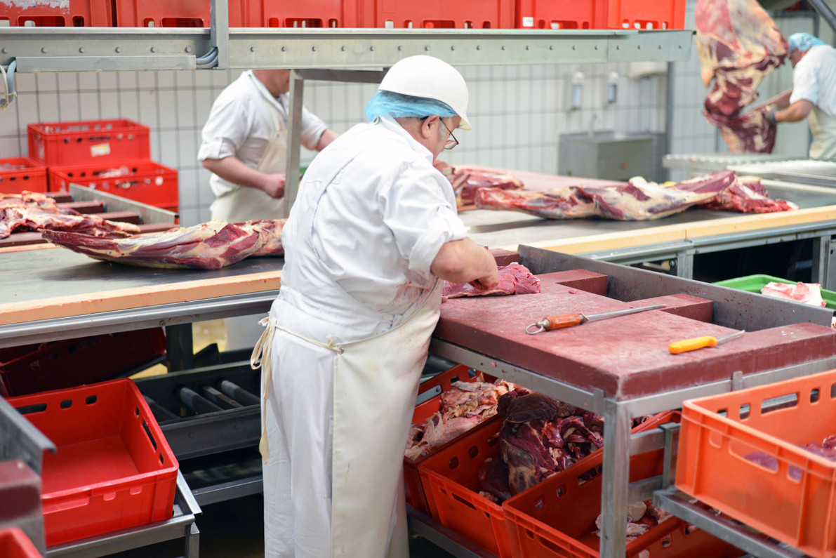 Mitigating Foreign Body Contamination Recalls in Food Manufacturing - Union  Jack