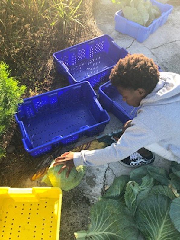 ​Customer Spotlight: St. Lucie Public Schools’ Farm to School Program