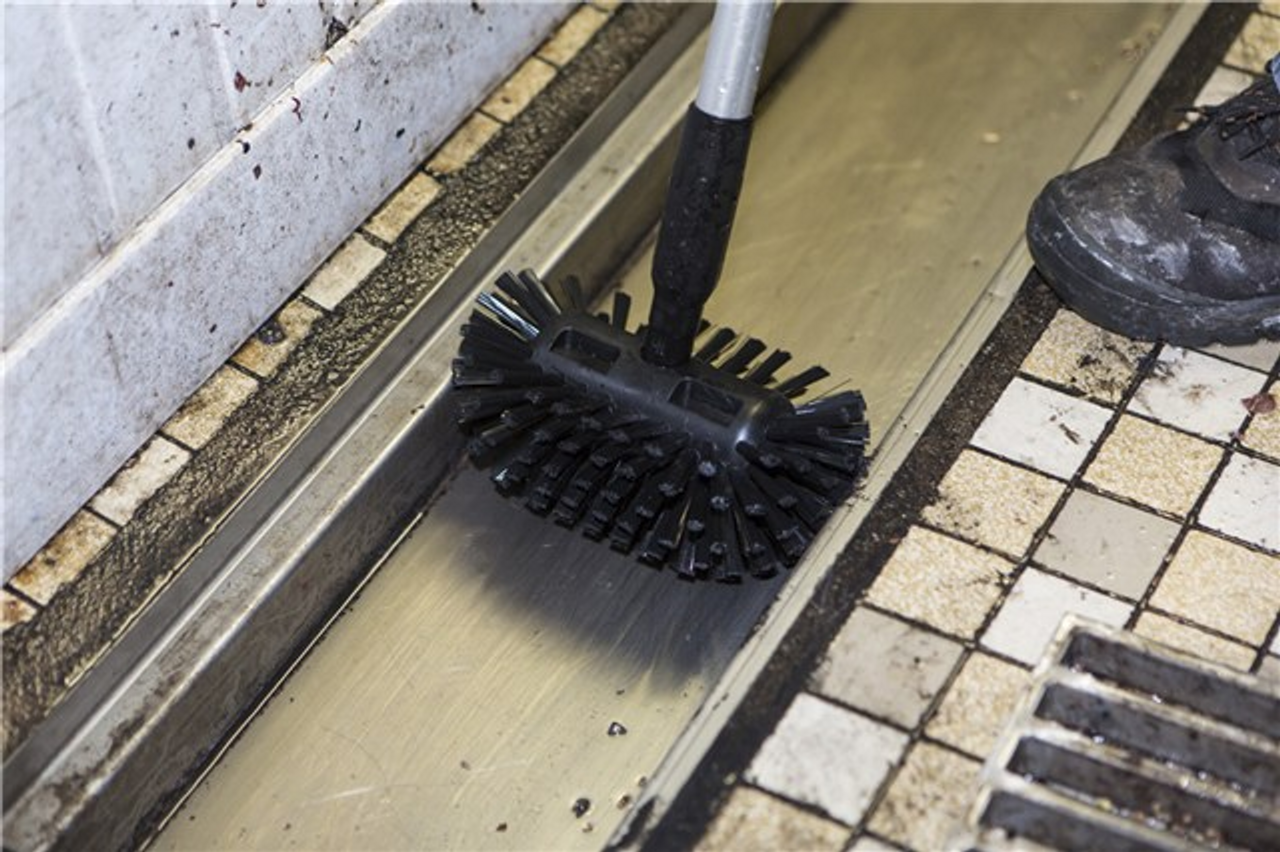 Twisted-in-Wire Floor Drain Brushes