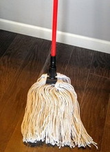 Wet Mops and Handles