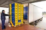 Stress-Free Freight Deliveries with Union Jack