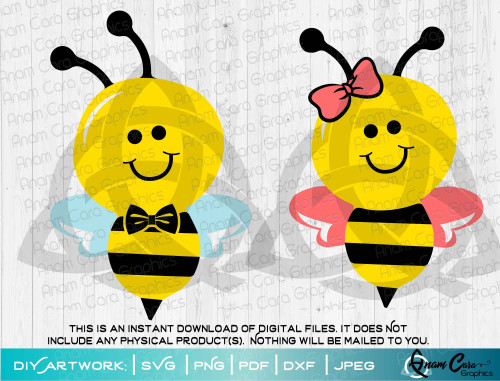 Boy and Girl Bee Art